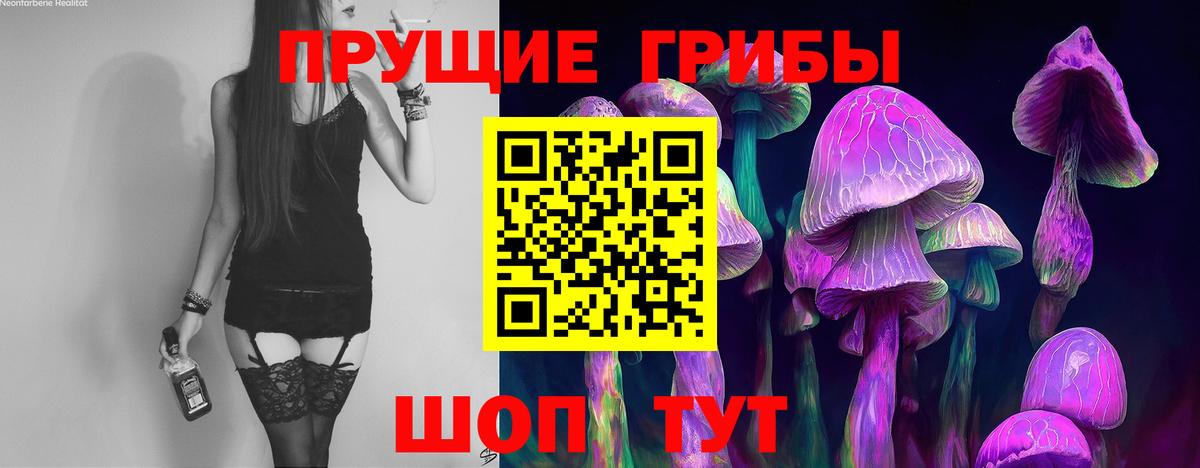 Красноярск  Галлюциногенные грибы прущие грибы  Вход с VPN  Галлюциногенные грибы Cubensis 